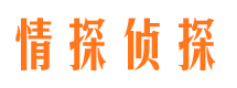 宿豫市私人调查